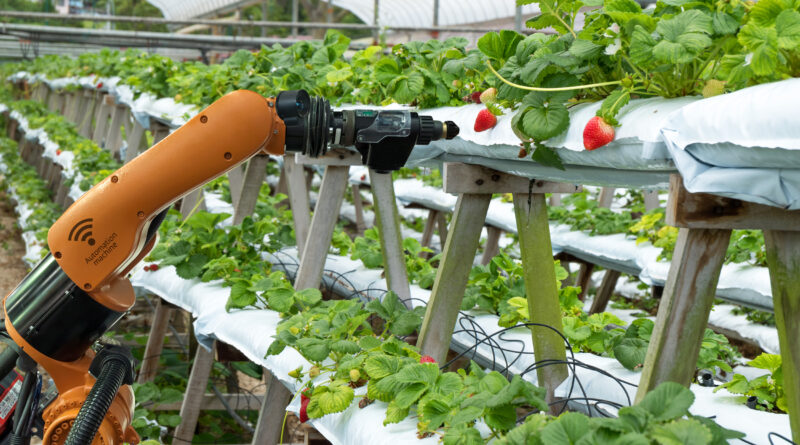 Vertical farming using robots for automation